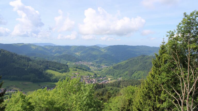 Dieses Bild zeigt eine Webcam-Aufnahme vom Achertal, aufgenommen am Donnerstag, den 21.05.2026 um 10:50 Uhr. Die Temperatur betrug 17.5°C.