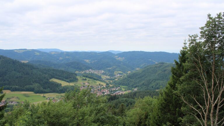 Dieses Bild zeigt eine Webcam-Aufnahme vom Achertal, aufgenommen am Montag, den 06.07.2026 um 09:30 Uhr. Die Temperatur betrug 20.2°C.
