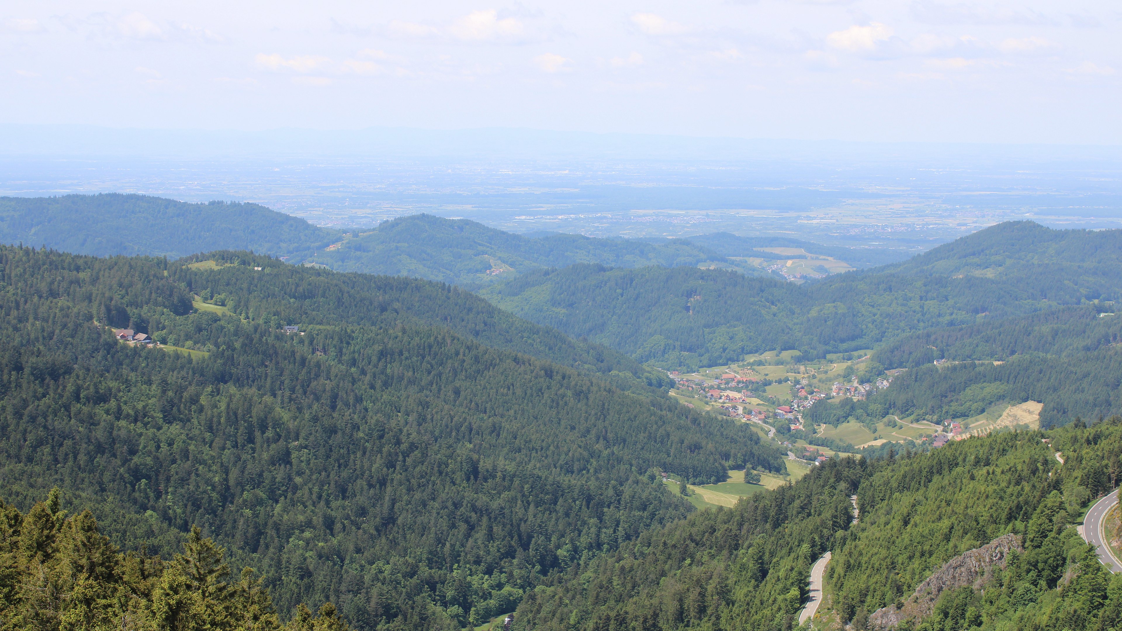 Zum Fotoarchiv vom Samstag, 24. Mai 2025