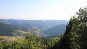 Dieses Bild zeigt eine Webcam-Aufnahme vom Achertal, aufgenommen am Dienstag, den 11.08.2026 um 19:00 Uhr. Die Temperatur betrug 31.3°C.