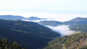 Dieses Bild zeigt eine Webcam-Aufnahme vom Achertal, aufgenommen am Sonntag, den 21.12.2025 um 12:50 Uhr. Die Temperatur betrug 7.6°C.