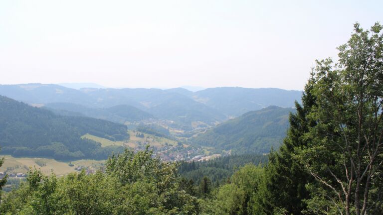 Dieses Bild zeigt eine Webcam-Aufnahme vom Achertal, aufgenommen am Donnerstag, den 30.07.2026 um 14:10 Uhr. Die Temperatur betrug 36.4°C.