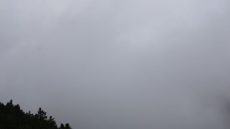 Dieses Bild zeigt eine Webcam-Aufnahme vom Achertal, aufgenommen am Mittwoch, den 20.08.2025 um 13:10 Uhr. Die Temperatur betrug 17.2°C.