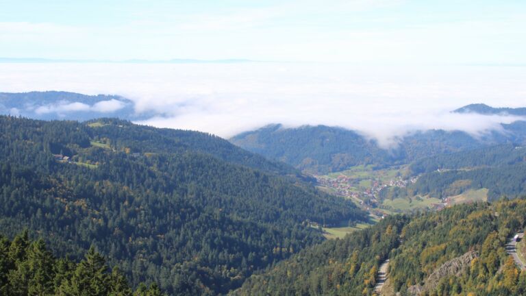 Dieses Bild zeigt eine Webcam-Aufnahme vom Achertal, aufgenommen am Mittwoch, den 08.10.2025 um 12:50 Uhr. Die Temperatur betrug 19.3°C.