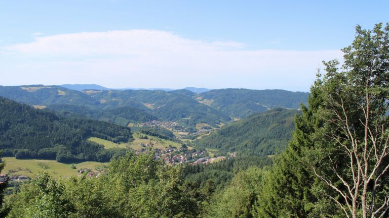 Dieses Bild zeigt eine Webcam-Aufnahme vom Achertal, aufgenommen am Samstag, den 25.07.2026 um 11:20 Uhr. Die Temperatur betrug 24.4°C.