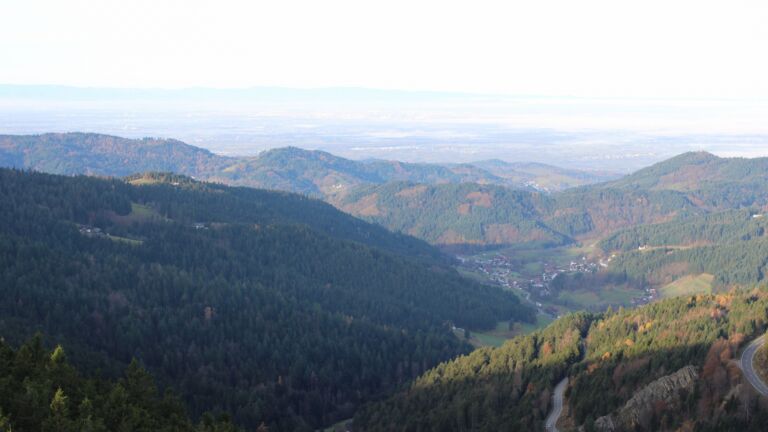 Dieses Bild zeigt eine Webcam-Aufnahme vom Achertal, aufgenommen am Mittwoch, den 12.11.2025 um 09:00 Uhr. Die Temperatur betrug 11.6°C.