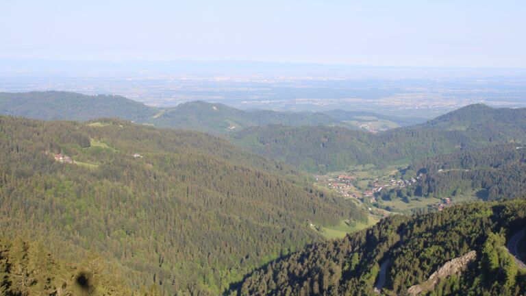 Dieses Bild zeigt eine Webcam-Aufnahme vom Achertal, aufgenommen am Montag, den 12.05.2025 um 07:50 Uhr. Die Temperatur betrug 12.9°C.