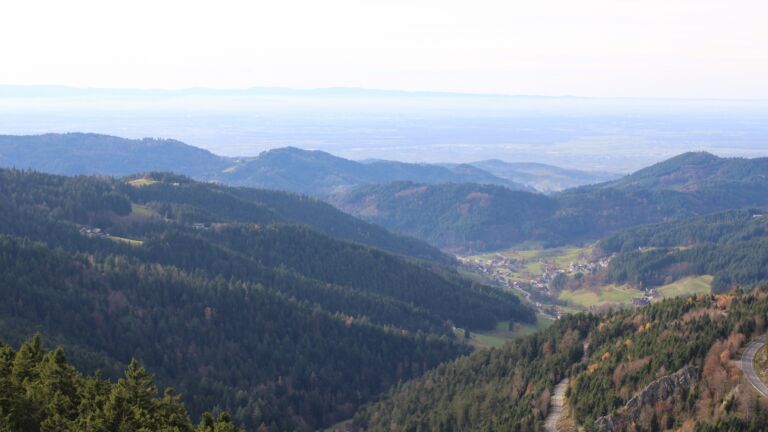 Dieses Bild zeigt eine Webcam-Aufnahme vom Achertal, aufgenommen am Mittwoch, den 12.11.2025 um 14:30 Uhr. Die Temperatur betrug 12.8°C.