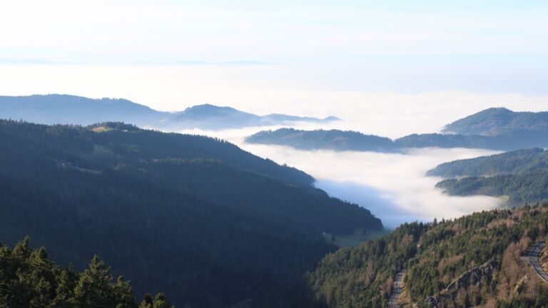 Dieses Bild zeigt eine Webcam-Aufnahme vom Achertal, aufgenommen am Sonntag, den 21.12.2025 um 14:30 Uhr. Die Temperatur betrug 7.2°C.