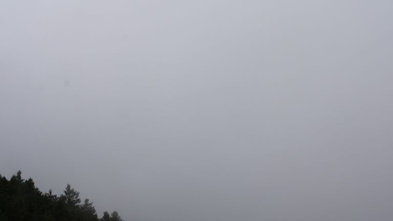 Dieses Bild zeigt eine Webcam-Aufnahme vom Achertal, aufgenommen am Mittwoch, den 20.08.2025 um 12:50 Uhr. Die Temperatur betrug 16.8°C.