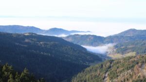 Dieses Bild zeigt eine Webcam-Aufnahme vom Achertal, aufgenommen am Sonntag, den 21.12.2025 um 12:00 Uhr. Die Temperatur betrug 6.8°C.