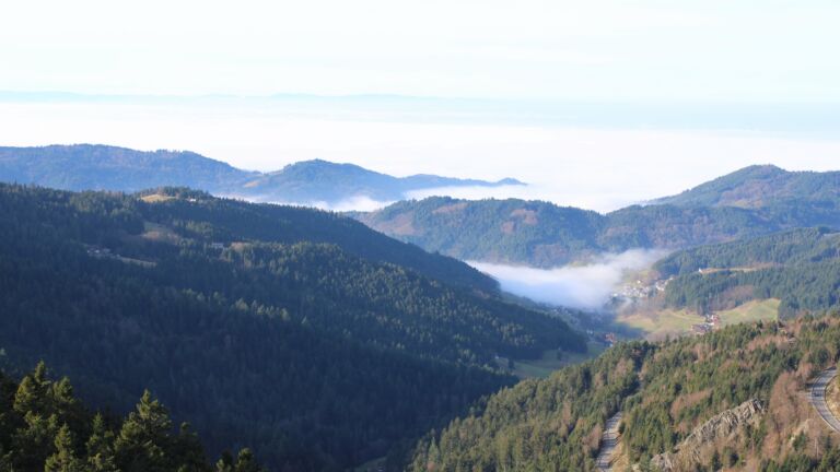 Dieses Bild zeigt eine Webcam-Aufnahme vom Achertal, aufgenommen am Sonntag, den 21.12.2025 um 12:00 Uhr. Die Temperatur betrug 6.8°C.