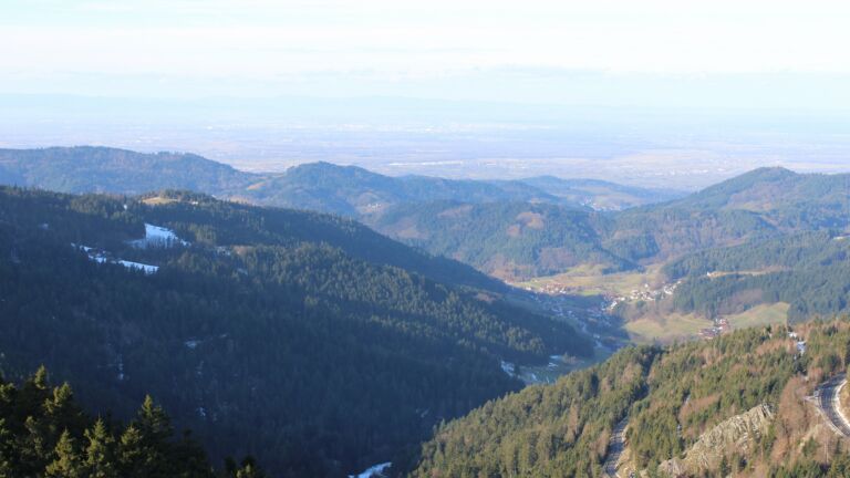 Dieses Bild zeigt eine Webcam-Aufnahme vom Achertal, aufgenommen am Freitag, den 16.01.2026 um 11:00 Uhr. Die Temperatur betrug 8.1°C.