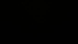 Dieses Bild zeigt eine Webcam-Aufnahme vom Achertal, aufgenommen am Montag, den 24.11.2025 um 03:00 Uhr. Die Temperatur betrug 1°C.