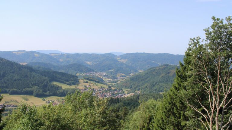 Dieses Bild zeigt eine Webcam-Aufnahme vom Achertal, aufgenommen am Dienstag, den 04.08.2026 um 11:30 Uhr. Die Temperatur betrug 30.2°C.