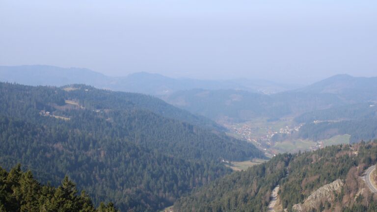 Dieses Bild zeigt eine Webcam-Aufnahme vom Achertal, aufgenommen am Sonntag, den 08.03.2026 um 10:30 Uhr. Die Temperatur betrug 13.1°C.