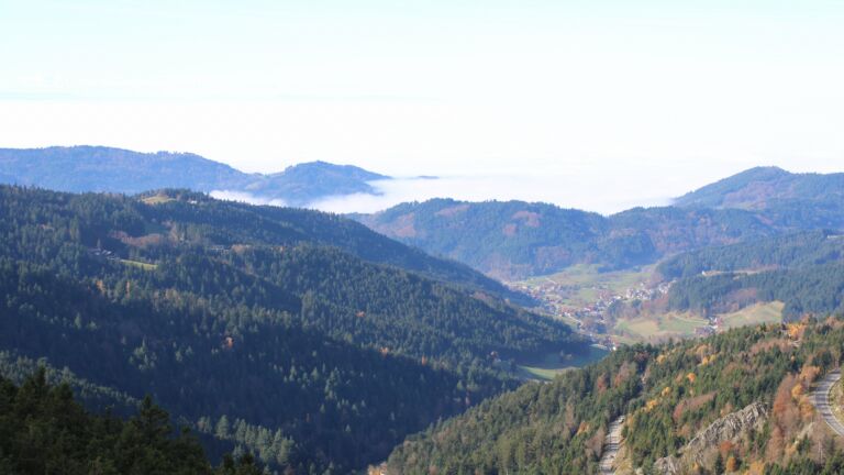 Dieses Bild zeigt eine Webcam-Aufnahme vom Achertal, aufgenommen am Samstag, den 08.11.2025 um 12:10 Uhr. Die Temperatur betrug 10.5°C.