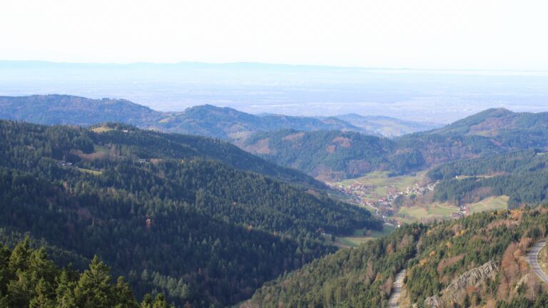 Dieses Bild zeigt eine Webcam-Aufnahme vom Achertal, aufgenommen am Mittwoch, den 12.11.2025 um 11:50 Uhr. Die Temperatur betrug 13.2°C.