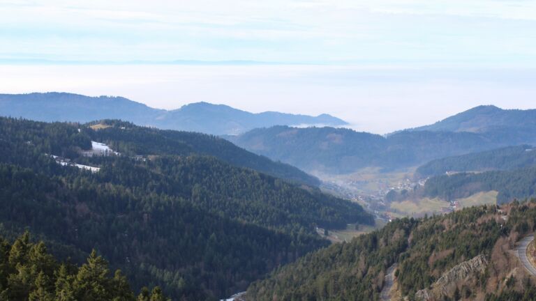 Dieses Bild zeigt eine Webcam-Aufnahme vom Achertal, aufgenommen am Freitag, den 23.01.2026 um 12:20 Uhr. Die Temperatur betrug 8.7°C.