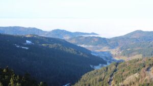 Dieses Bild zeigt eine Webcam-Aufnahme vom Achertal, aufgenommen am Mittwoch, den 21.01.2026 um 10:20 Uhr. Die Temperatur betrug 11.6°C.