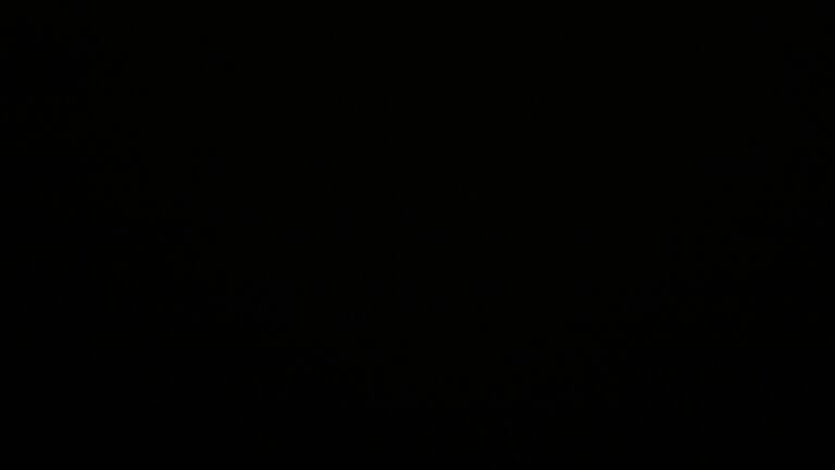 Dieses Bild zeigt eine Webcam-Aufnahme vom Achertal, aufgenommen am Donnerstag, den 22.05.2025 um 03:00 Uhr. Die Temperatur betrug 5.5°C.
