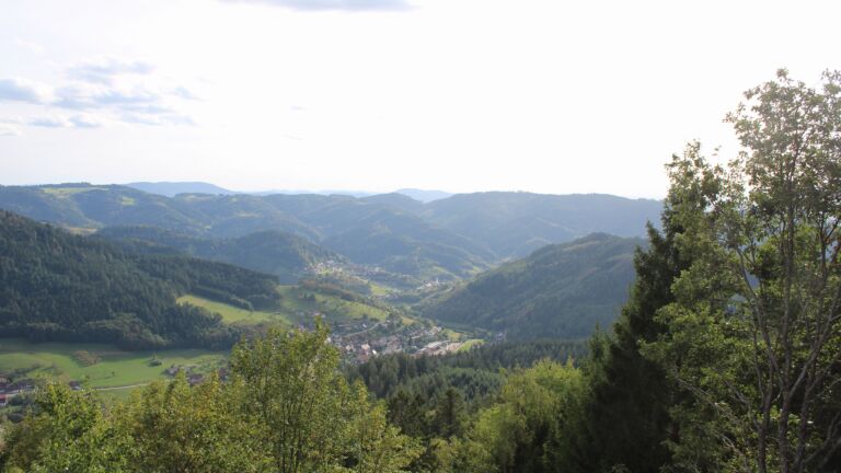 Dieses Bild zeigt eine Webcam-Aufnahme vom Achertal, aufgenommen am Donnerstag, den 17.09.2026 um 17:20 Uhr. Die Temperatur betrug 19.8°C.