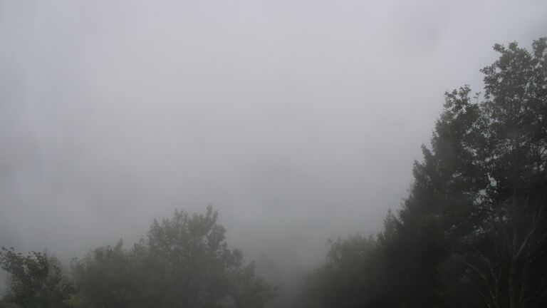 Dieses Bild zeigt eine Webcam-Aufnahme vom Achertal, aufgenommen am Donnerstag, den 08.10.2026 um 09:00 Uhr. Die Temperatur betrug 12.3°C.