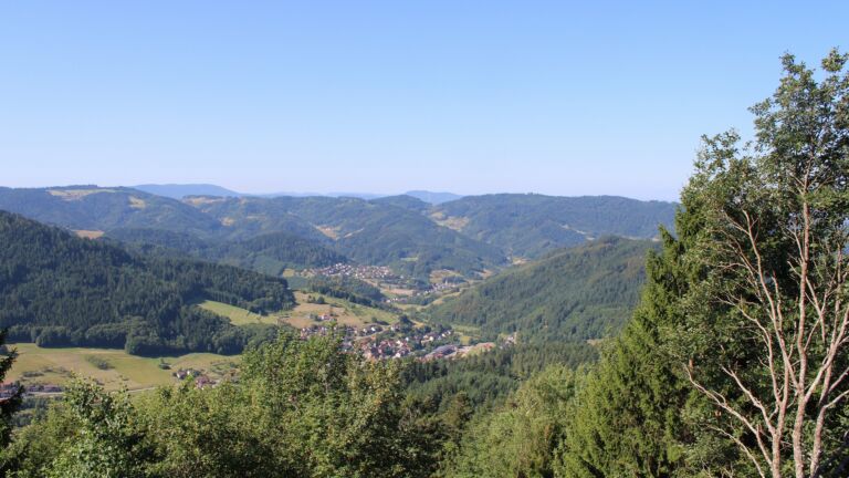 Dieses Bild zeigt eine Webcam-Aufnahme vom Achertal, aufgenommen am Dienstag, den 28.07.2026 um 10:20 Uhr. Die Temperatur betrug 23.2°C.