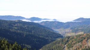 Dieses Bild zeigt eine Webcam-Aufnahme vom Achertal, aufgenommen am Montag, den 10.11.2025 um 11:40 Uhr. Die Temperatur betrug 8.4°C.