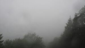 Dieses Bild zeigt eine Webcam-Aufnahme vom Achertal, aufgenommen am Freitag, den 12.06.2026 um 07:30 Uhr. Die Temperatur betrug 8.7°C.