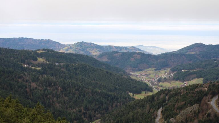 Dieses Bild zeigt eine Webcam-Aufnahme vom Achertal, aufgenommen am Donnerstag, den 04.12.2025 um 10:20 Uhr. Die Temperatur betrug 1.7°C.