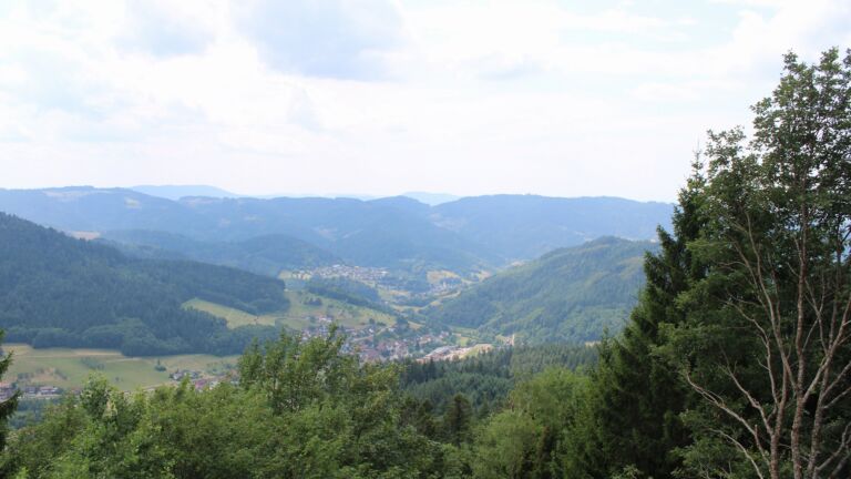 Dieses Bild zeigt eine Webcam-Aufnahme vom Achertal, aufgenommen am Donnerstag, den 16.07.2026 um 13:50 Uhr. Die Temperatur betrug 28°C.