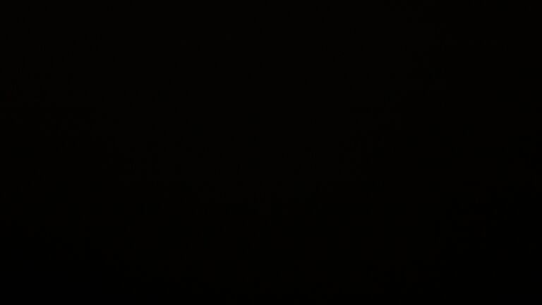 Dieses Bild zeigt eine Webcam-Aufnahme vom Achertal, aufgenommen am Sonntag, den 23.11.2025 um 22:00 Uhr. Die Temperatur betrug 0.2°C.