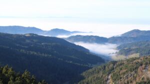 Dieses Bild zeigt eine Webcam-Aufnahme vom Achertal, aufgenommen am Sonntag, den 21.12.2025 um 13:10 Uhr. Die Temperatur betrug 7.6°C.