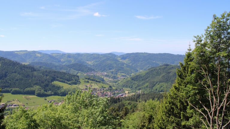 Dieses Bild zeigt eine Webcam-Aufnahme vom Achertal, aufgenommen am Freitag, den 22.05.2026 um 12:10 Uhr. Die Temperatur betrug 21.5°C.