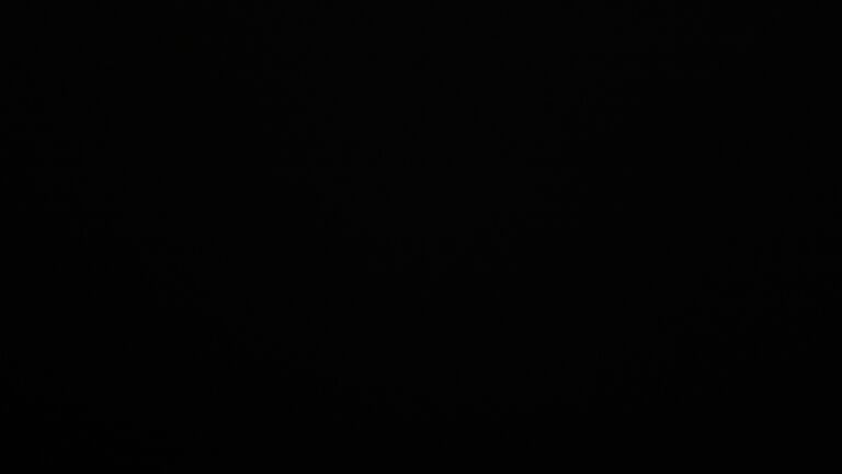 Dieses Bild zeigt eine Webcam-Aufnahme vom Achertal, aufgenommen am Montag, den 24.11.2025 um 06:30 Uhr. Die Temperatur betrug 1.2°C.