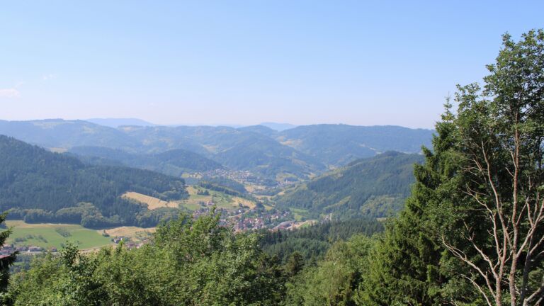 Dieses Bild zeigt eine Webcam-Aufnahme vom Achertal, aufgenommen am Mittwoch, den 24.06.2026 um 11:50 Uhr. Die Temperatur betrug 30.4°C.