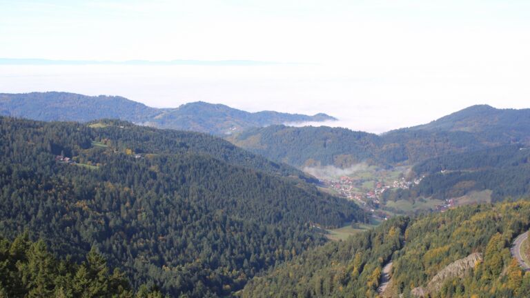 Dieses Bild zeigt eine Webcam-Aufnahme vom Achertal, aufgenommen am Mittwoch, den 08.10.2025 um 10:40 Uhr. Die Temperatur betrug 14.6°C.