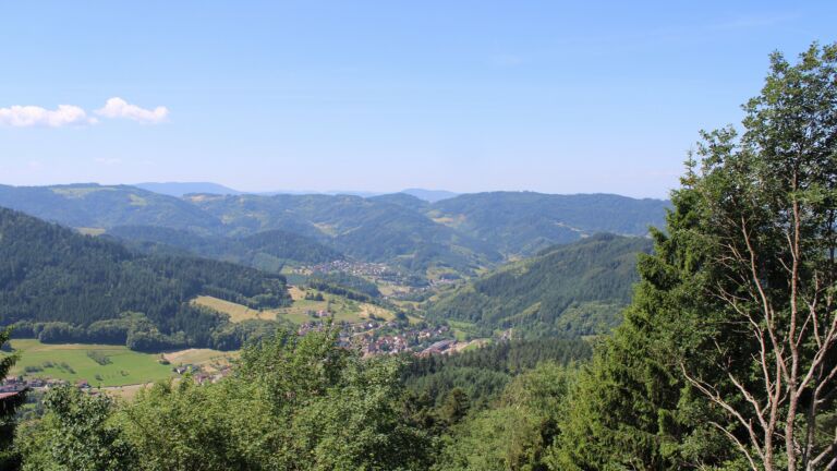 Dieses Bild zeigt eine Webcam-Aufnahme vom Achertal, aufgenommen am Donnerstag, den 18.06.2026 um 11:30 Uhr. Die Temperatur betrug 27.5°C.