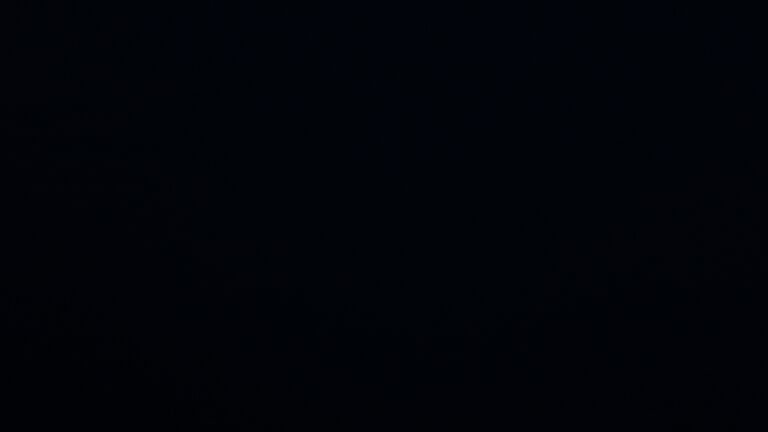 Dieses Bild zeigt eine Webcam-Aufnahme vom Achertal, aufgenommen am Mittwoch, den 16.07.2025 um 22:50 Uhr. Die Temperatur betrug 11.1°C.