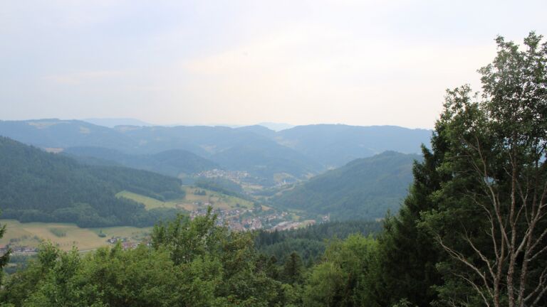 Dieses Bild zeigt eine Webcam-Aufnahme vom Achertal, aufgenommen am Freitag, den 31.07.2026 um 16:30 Uhr. Die Temperatur betrug 29.2°C.