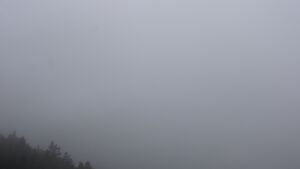 Dieses Bild zeigt eine Webcam-Aufnahme vom Achertal, aufgenommen am Samstag, den 21.02.2026 um 09:50 Uhr. Die Temperatur betrug 1.7°C.