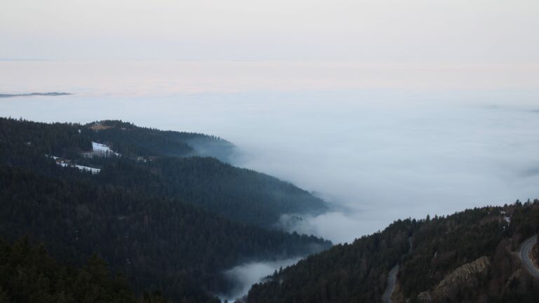 Dieses Bild zeigt eine Webcam-Aufnahme vom Achertal, aufgenommen am Sonntag, den 18.01.2026 um 08:30 Uhr. Die Temperatur betrug 6.9°C.