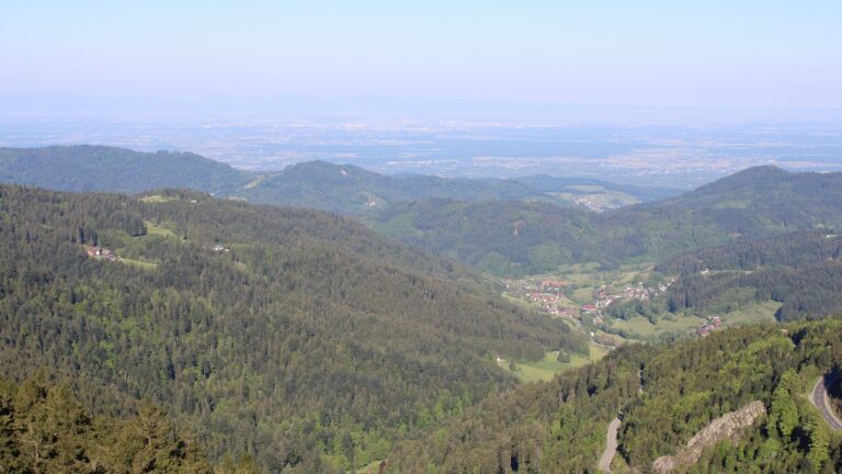 Dieses Bild zeigt eine Webcam-Aufnahme vom Achertal, aufgenommen am Sonntag, den 11.05.2025 um 08:50 Uhr. Die Temperatur betrug 11.3°C.