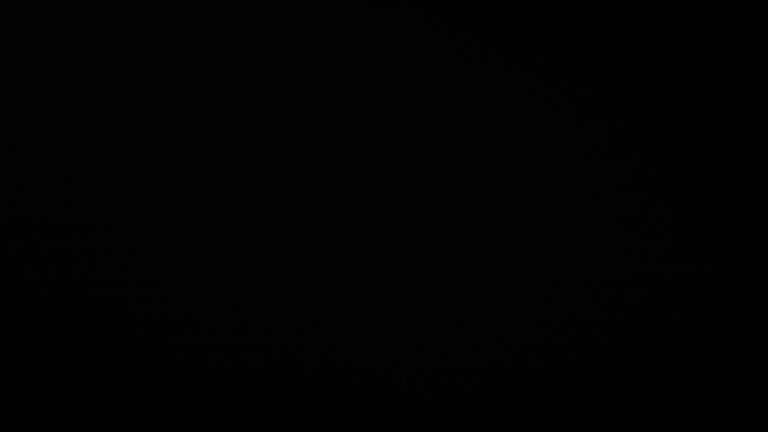 Dieses Bild zeigt eine Webcam-Aufnahme vom Achertal, aufgenommen am Montag, den 24.11.2025 um 01:00 Uhr. Die Temperatur betrug 0.8°C.