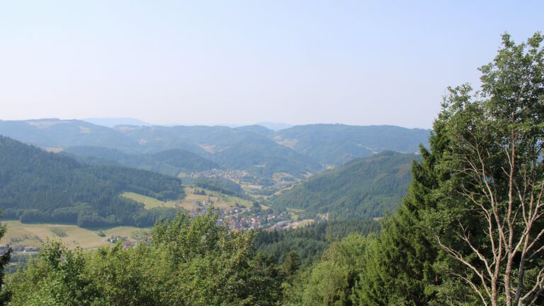 Dieses Bild zeigt eine Webcam-Aufnahme vom Achertal, aufgenommen am Donnerstag, den 30.07.2026 um 11:50 Uhr. Die Temperatur betrug 33.6°C.