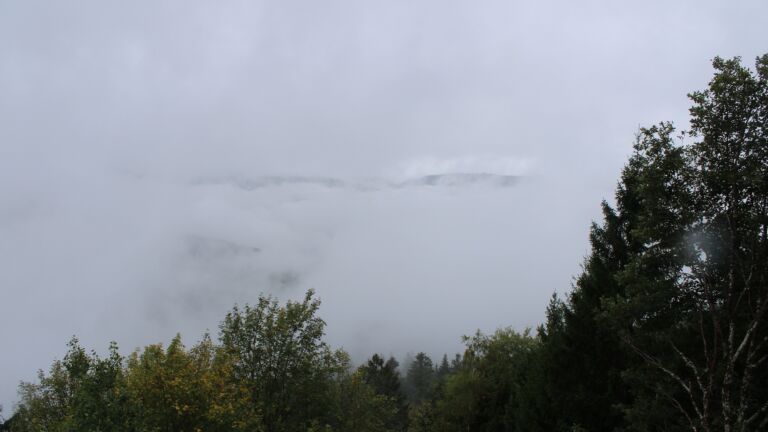 Dieses Bild zeigt eine Webcam-Aufnahme vom Achertal, aufgenommen am Sonntag, den 18.10.2026 um 12:30 Uhr. Die Temperatur betrug 7.2°C.