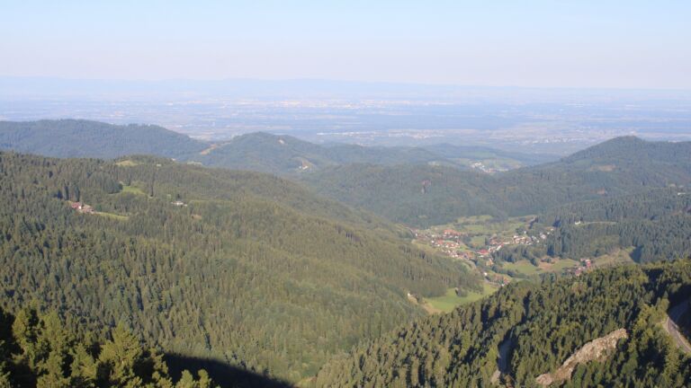 Dieses Bild zeigt eine Webcam-Aufnahme vom Achertal, aufgenommen am Montag, den 25.08.2025 um 08:20 Uhr. Die Temperatur betrug 13°C.