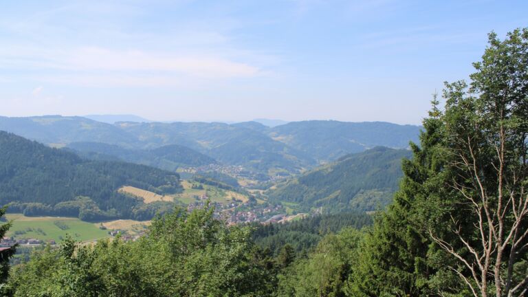 Dieses Bild zeigt eine Webcam-Aufnahme vom Achertal, aufgenommen am Dienstag, den 23.06.2026 um 11:50 Uhr. Die Temperatur betrug 30.6°C.