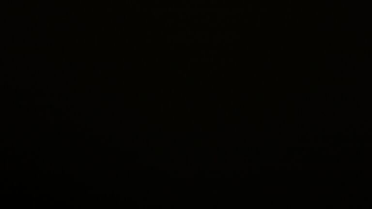 Dieses Bild zeigt eine Webcam-Aufnahme vom Achertal, aufgenommen am Montag, den 24.11.2025 um 22:30 Uhr. Die Temperatur betrug 0.2°C.